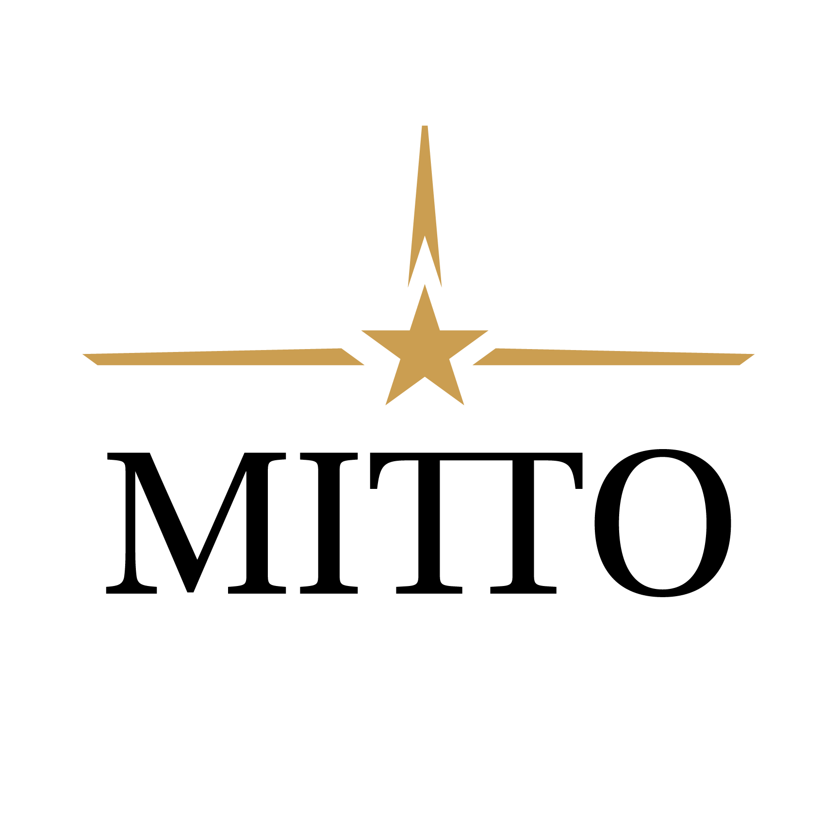 MITTO BRASIL - BLACKGAR logo